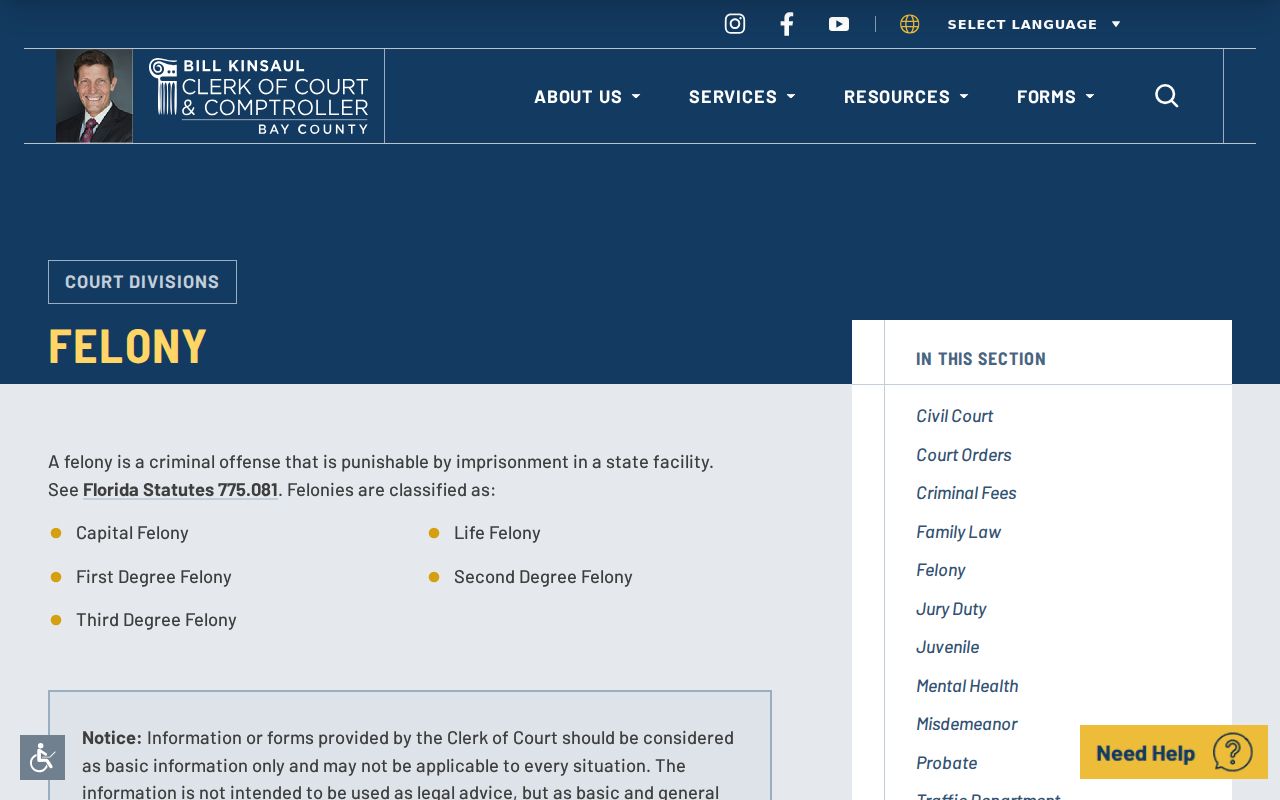 Bay County Clerk felony disposition and record-copy instructions